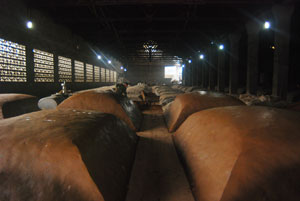 �o�ݻ��A(ch��)�����a(ch��n)�S(ch��ng)